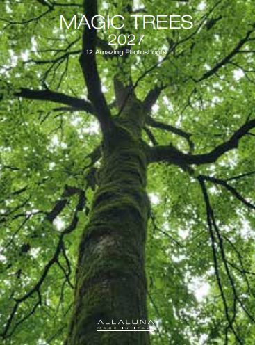 [G-AL-D27-CAL282] Allaluna 15x20 Desk Cal-Magic Trees