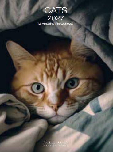 [G-AL-D27-CAL284] Allaluna 15x20 Desk Cal-Cats