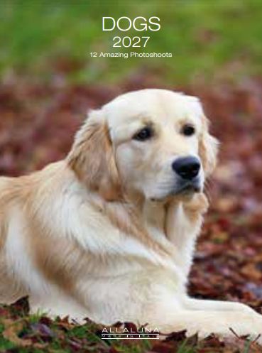 [G-AL-D27-CAL285] Allaluna 15x20 Desk Cal-Dogs