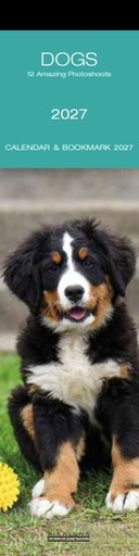 [H-AL-D27-CAL321] Allaluna 6x22 Bookmark Cal-Dogs