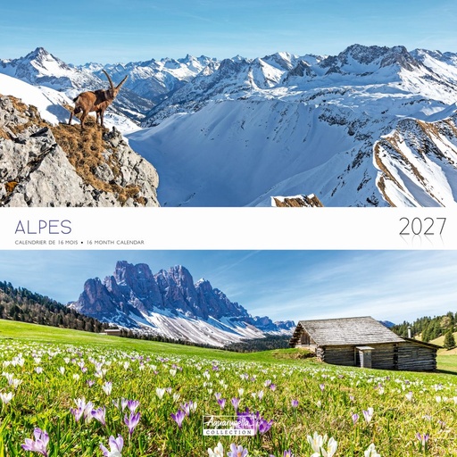 [E-AQ-D27-CAL25380] Aquarupella 30x30 Cal-Alps