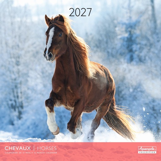 [E-AQ-D27-CAL25392] Aquarupella 30x30 Cal-Horses