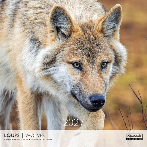 [E-AQ-D27-CAL25412] Aquarupella 30x30 Cal-Wolves